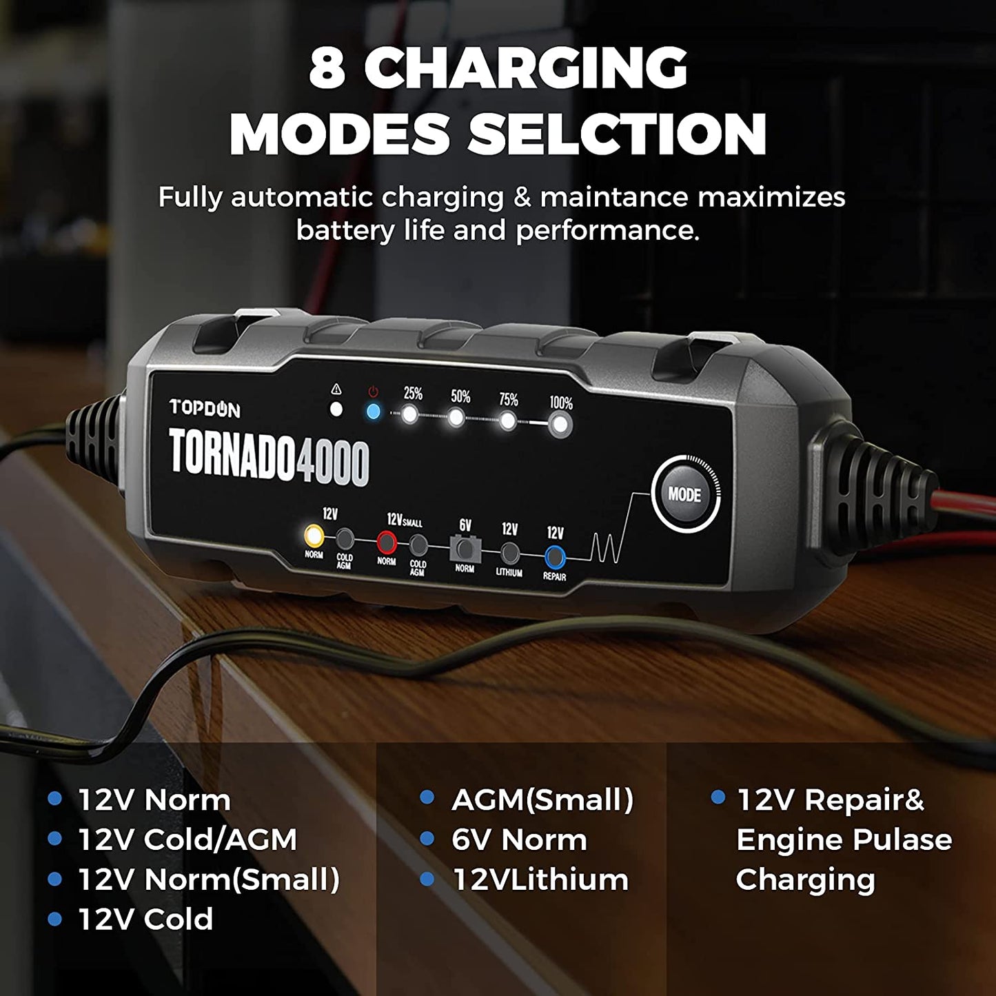 Battery Charger T4000